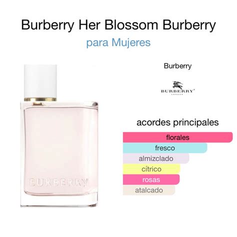 notas burberry her|burberry her images.